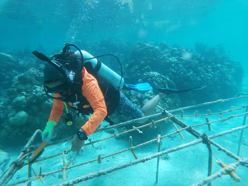Diver under water setting up an artificial reef