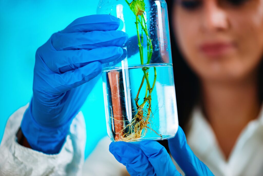 image of women in a lab coat holding a beaker with water and plant specimen