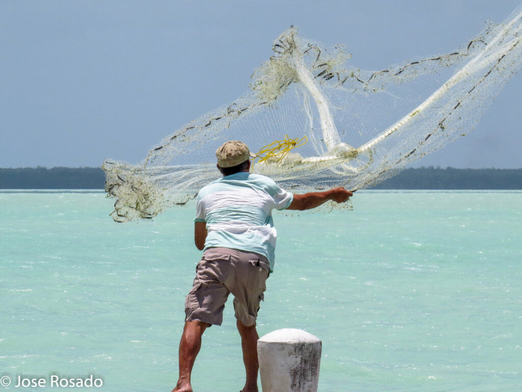 Man casting fishing net in belize waters