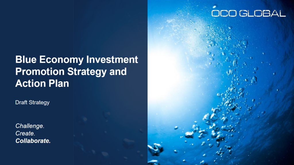 Blue Economy Investment Promotion Strategy Cover Photo